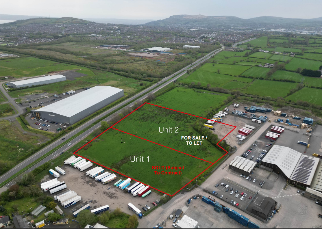 updated outline with text